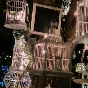 unnamed - 2025-09-02T135346.440